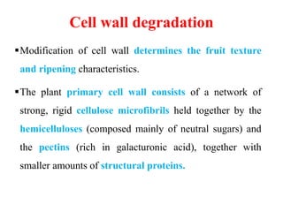 Biochemistry of fruit ripening | PPTX