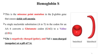 Comprehensive Medical Biochemistry of Hematology: RBC Metabolism and ...