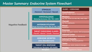 Comprehensive Biochemistry of Hormones: Structure, Function, and ...