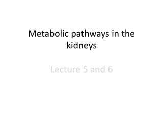 Metabolic pathways in the
kidneys
Lecture 5 and 6
 