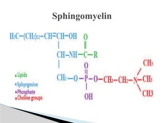 Comprehensive Biochemistry of Lipids and Fatty Acids: Structure ...