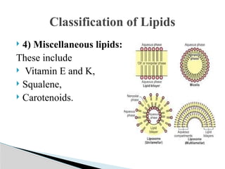 Comprehensive Biochemistry of Lipids and Fatty Acids: Structure ...