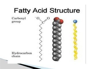 Comprehensive Biochemistry of Lipids and Fatty Acids: Structure ...