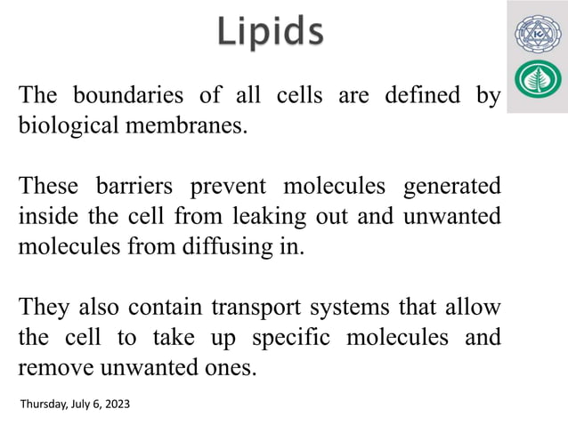 Biochemistry of Lipids_MBBS_BDS-Lab.Med.pptx | Chemistry | Science