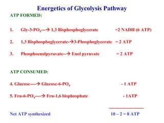 Emp Path Biochemistry of microbes glycolysis or EMP pathway | PPT