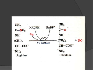Biochemistry of nitric oxide