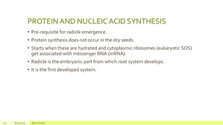 Biochemistry of seed germination and fruit ripening | PPTX