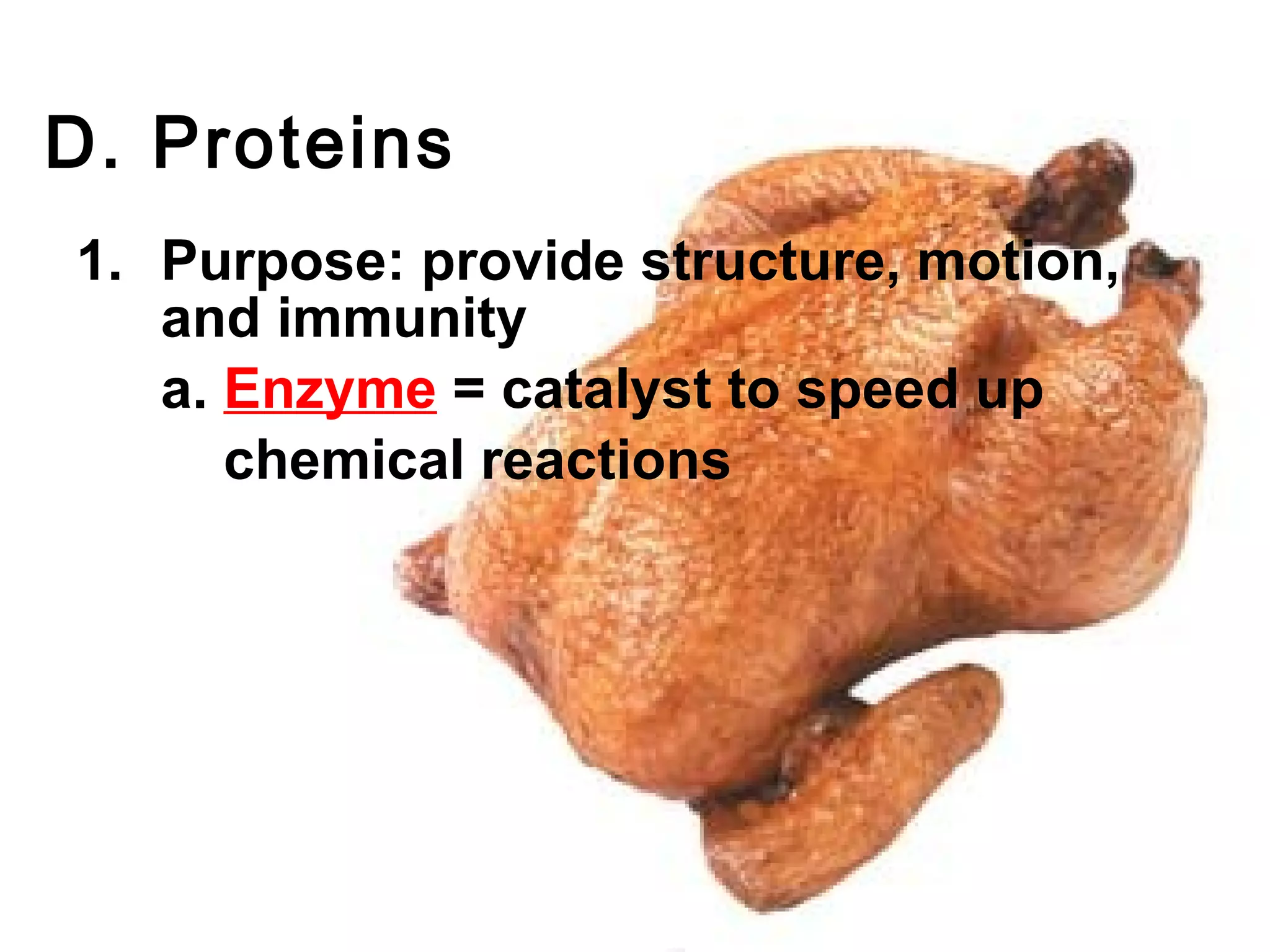 D. Proteins
1. Purpose: provide structure, motion,
   and immunity
   a. Enzyme = catalyst to speed up
      chemical reactions
 