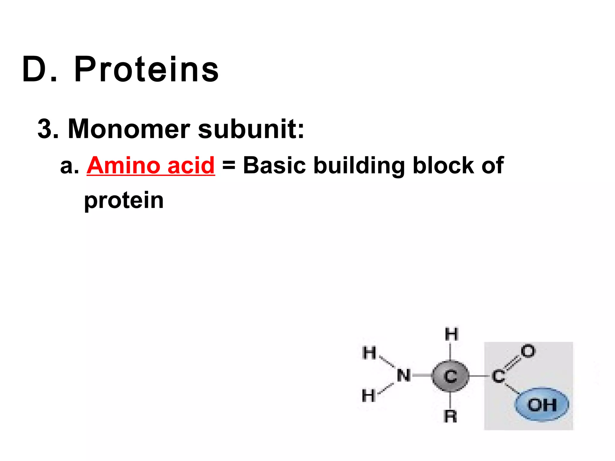 D. Proteins
3. Monomer subunit:
  a. Amino acid = Basic building block of
     protein
 