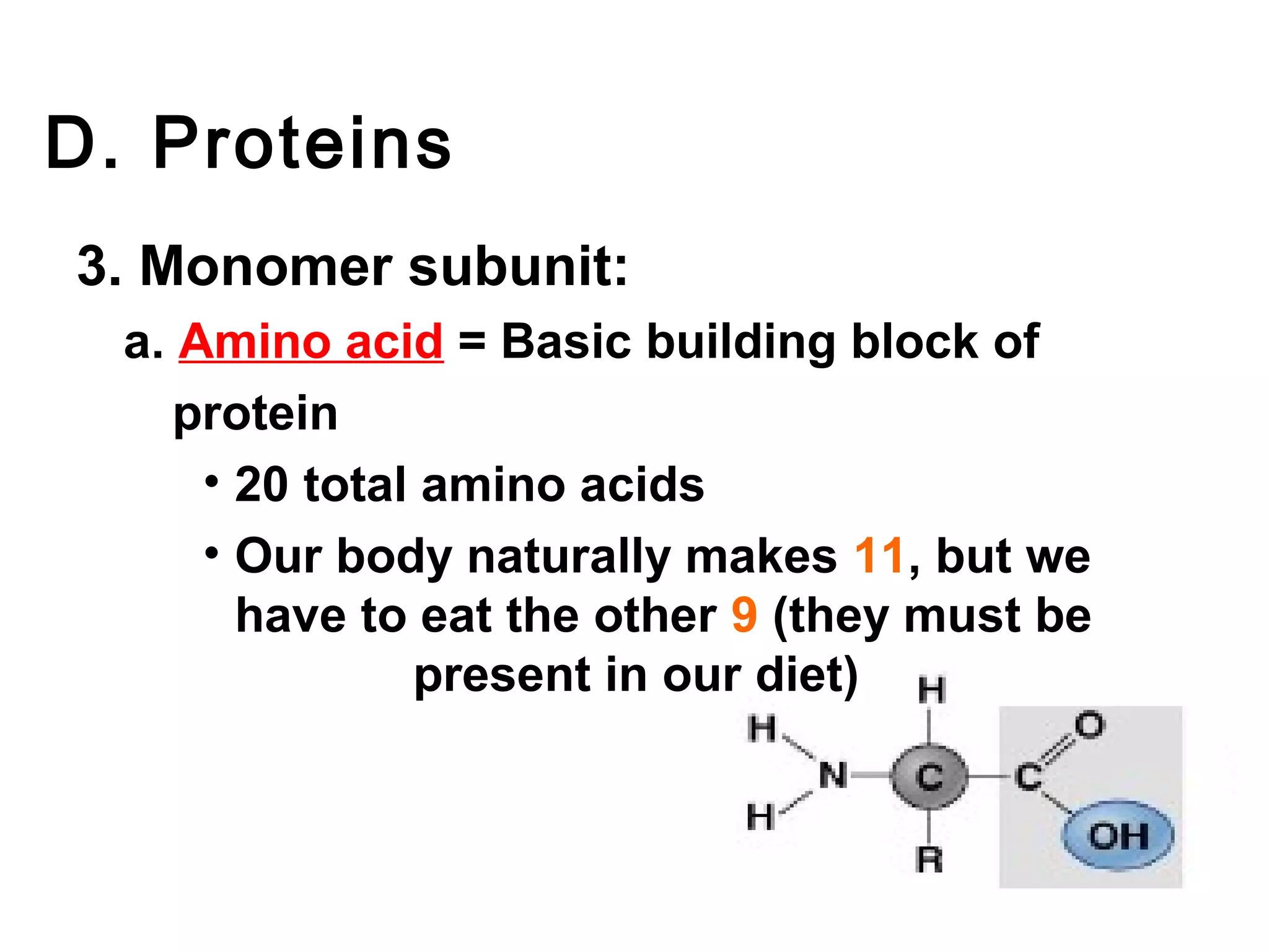 D. Proteins
3. Monomer subunit:
  a. Amino acid = Basic building block of
     protein
      • 20 total amino acids
      • Our body naturally makes 11, but we
        have to eat the other 9 (they must be
                present in our diet)
 