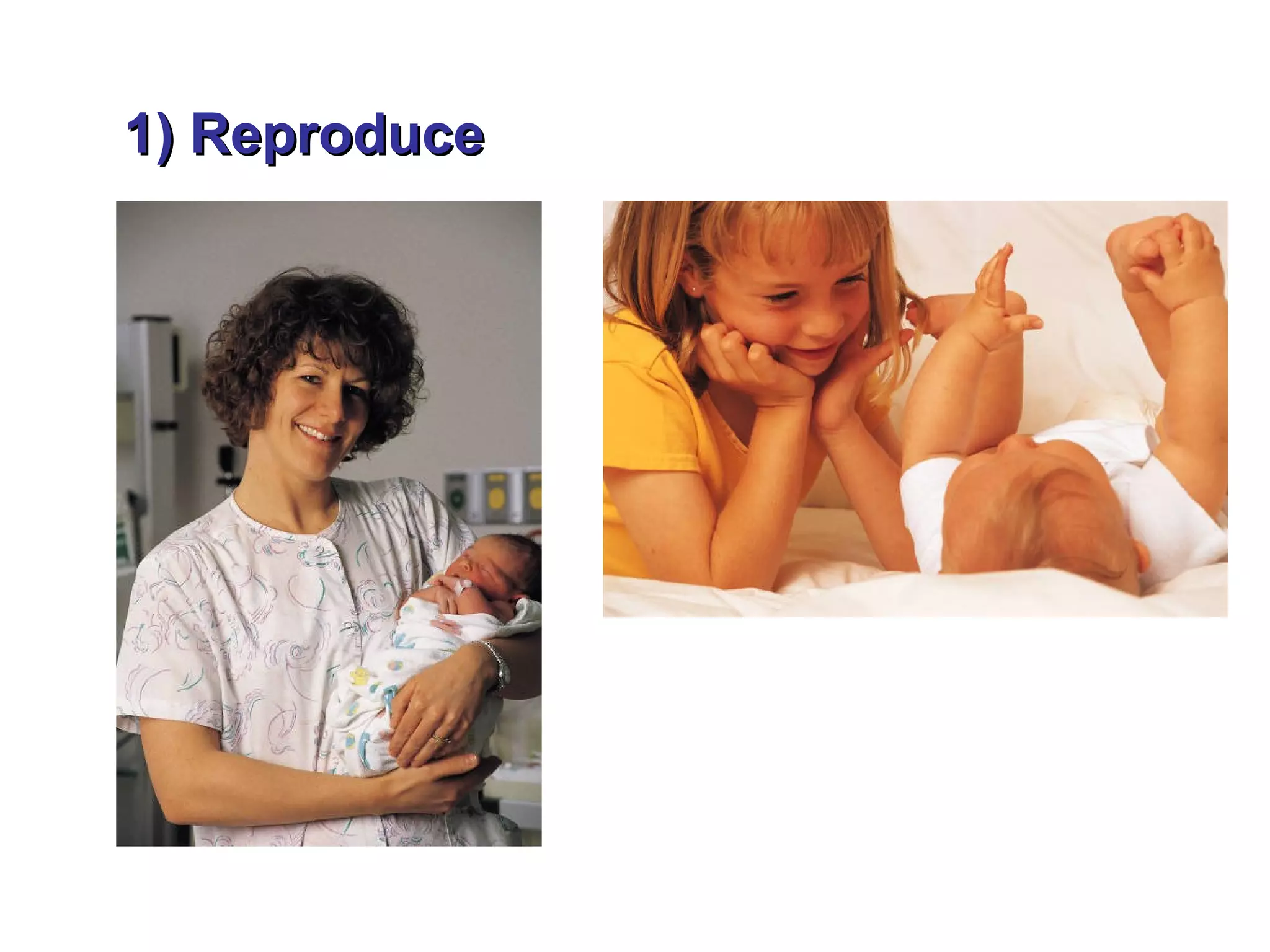 1) Reproduce
 