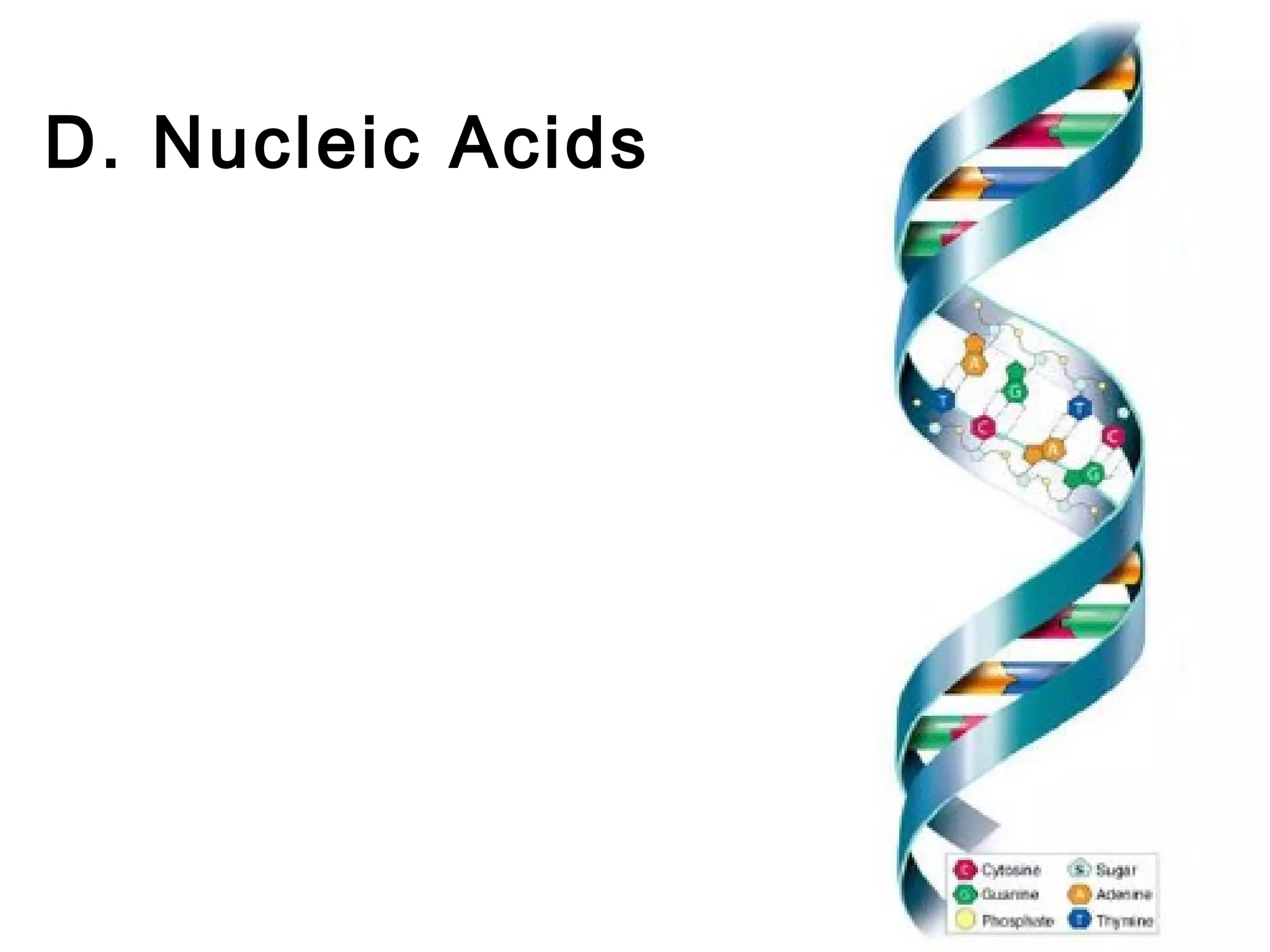 D. Nucleic Acids
 