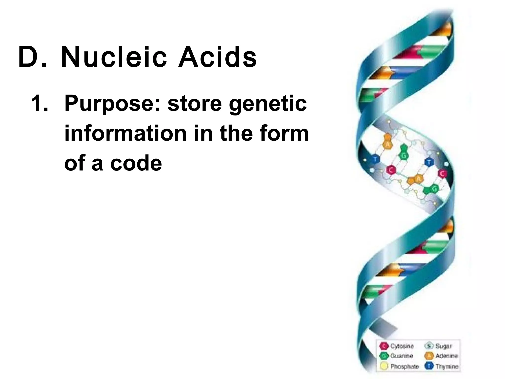 D. Nucleic Acids
1. Purpose: store genetic
   information in the form
   of a code
 