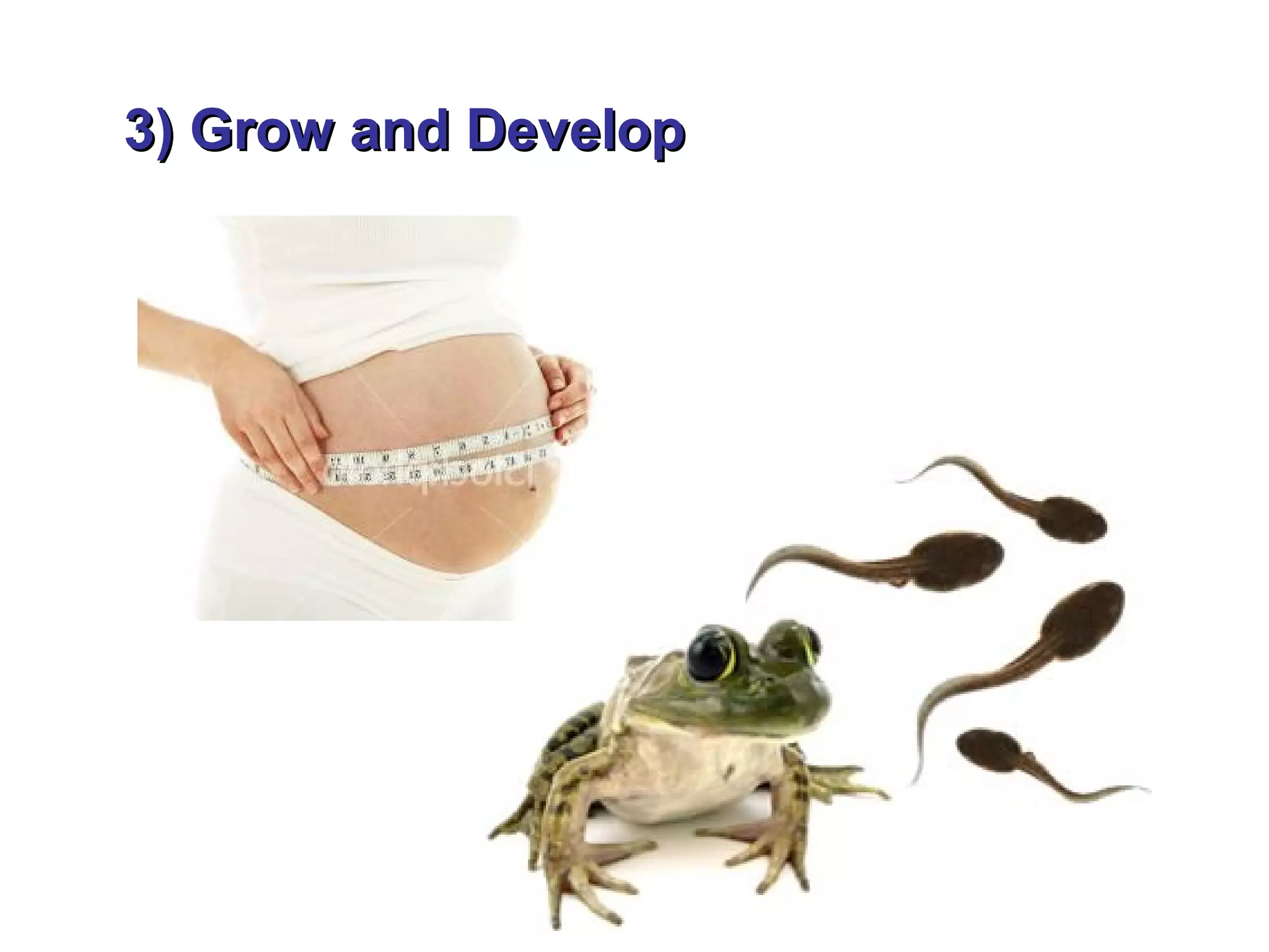 3) Grow and Develop
 