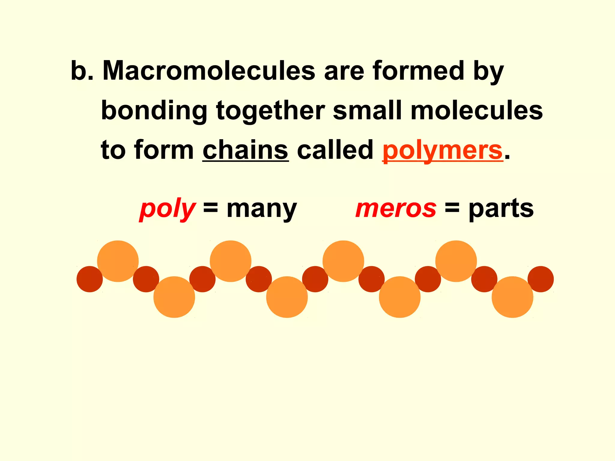 b. Macromolecules are formed by
   bonding together small molecules
   to form chains called polymers.

     poly = many     meros = parts
 