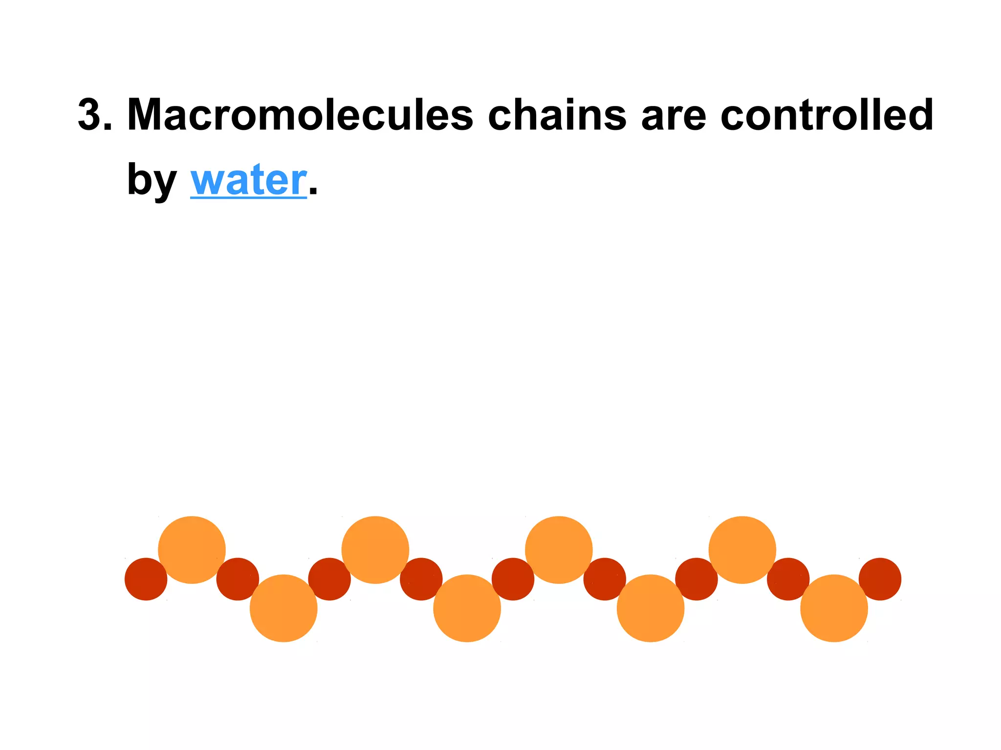3. Macromolecules chains are controlled
   by water.
 