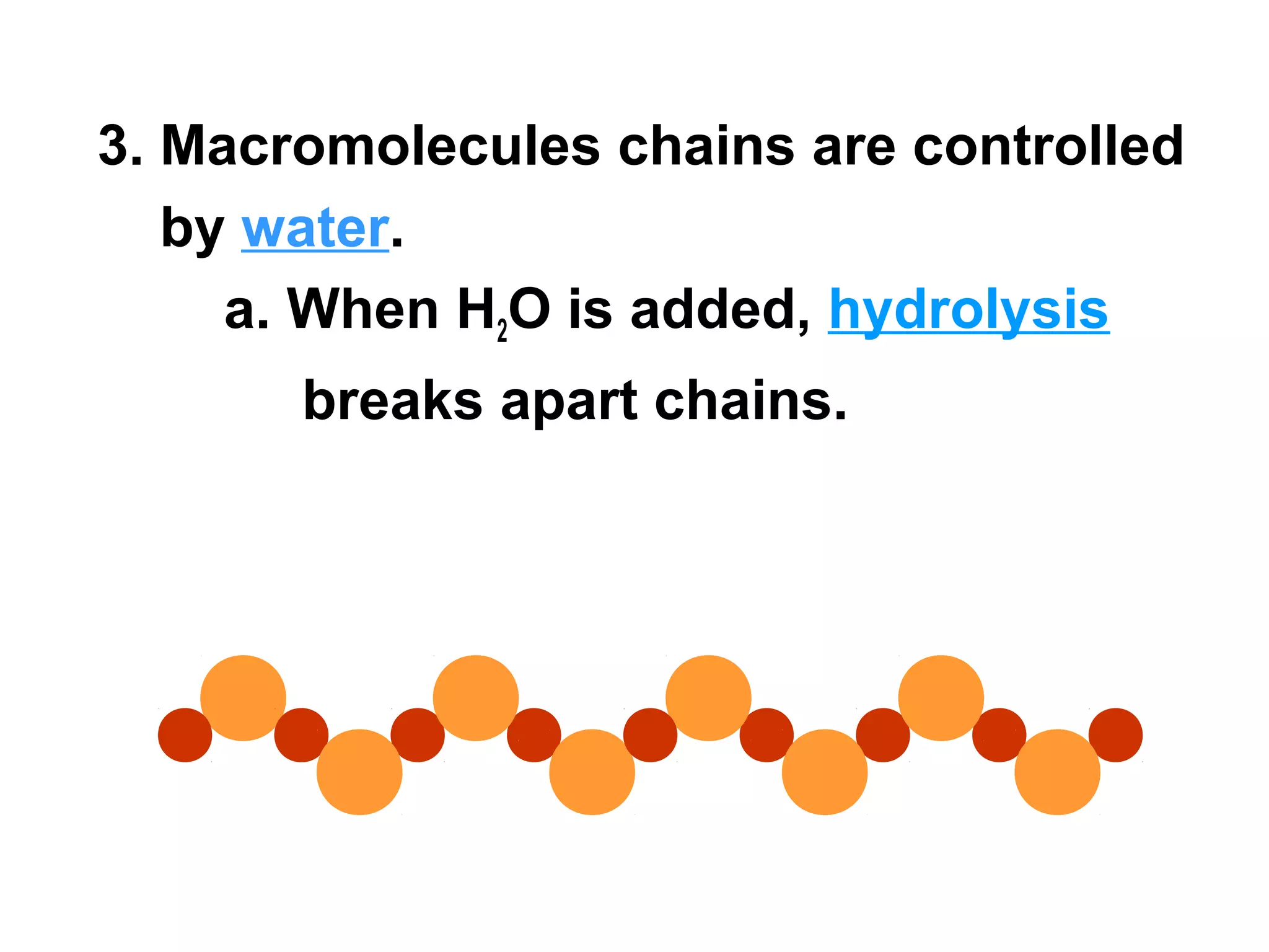 3. Macromolecules chains are controlled
   by water.
     a. When H2O is added, hydrolysis
       breaks apart chains.
 