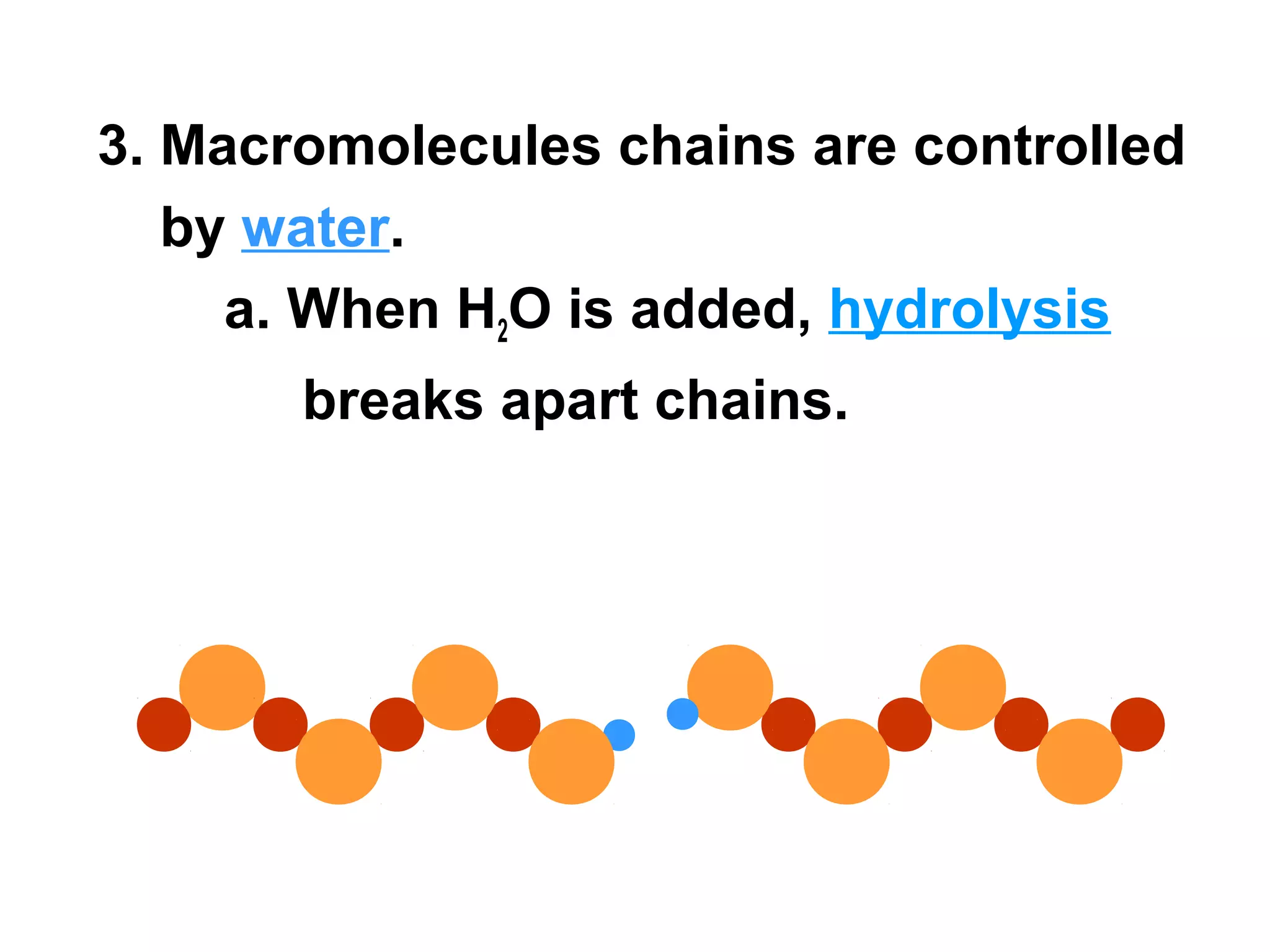 3. Macromolecules chains are controlled
   by water.
     a. When H2O is added, hydrolysis
       breaks apart chains.
 