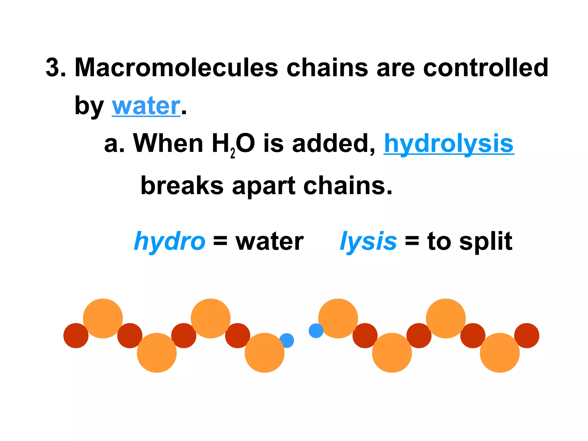 3. Macromolecules chains are controlled
   by water.
     a. When H2O is added, hydrolysis
       breaks apart chains.

      hydro = water   lysis = to split
 
