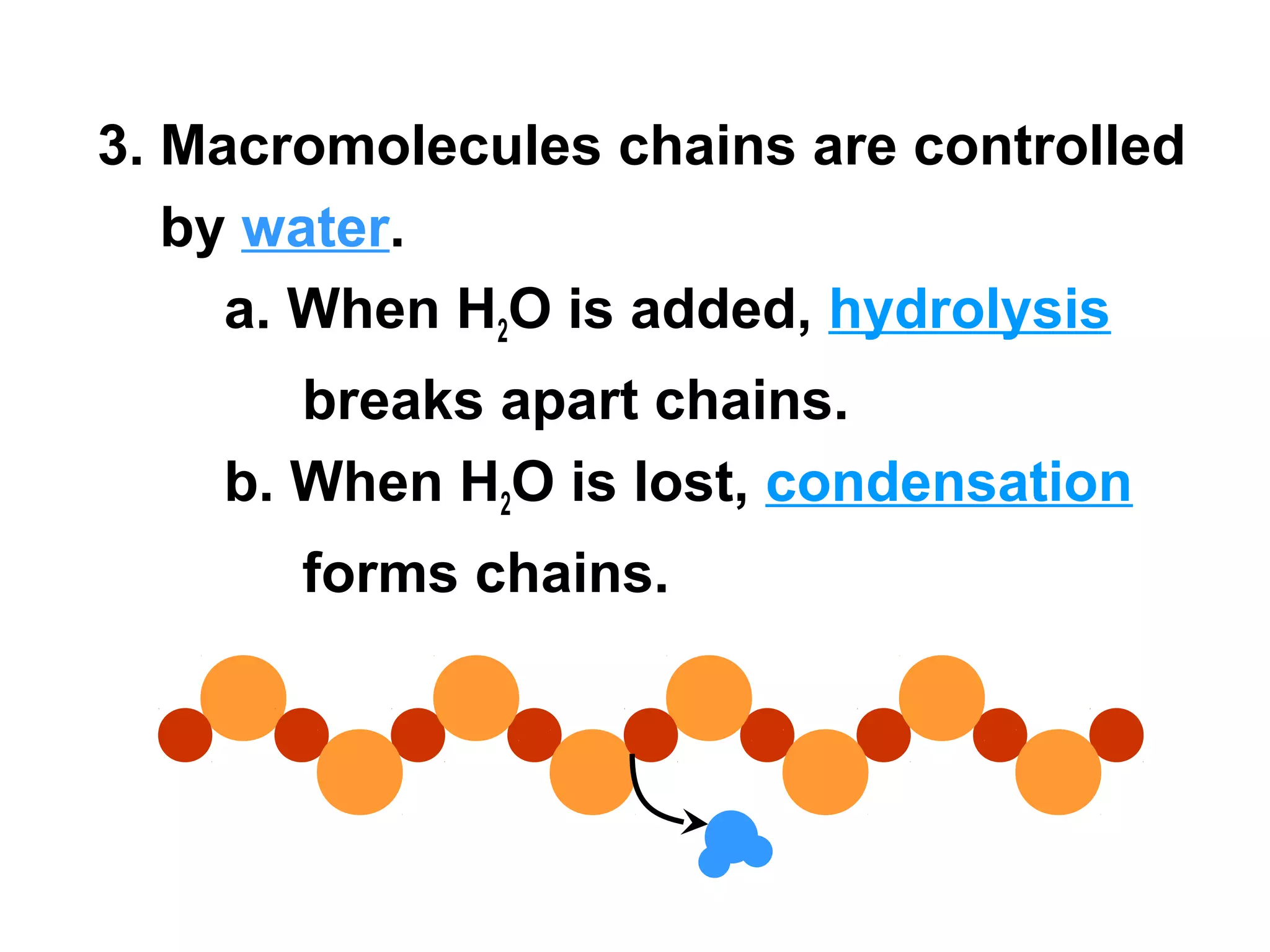 3. Macromolecules chains are controlled
   by water.
     a. When H2O is added, hydrolysis
       breaks apart chains.
    b. When H2O is lost, condensation
       forms chains.
 