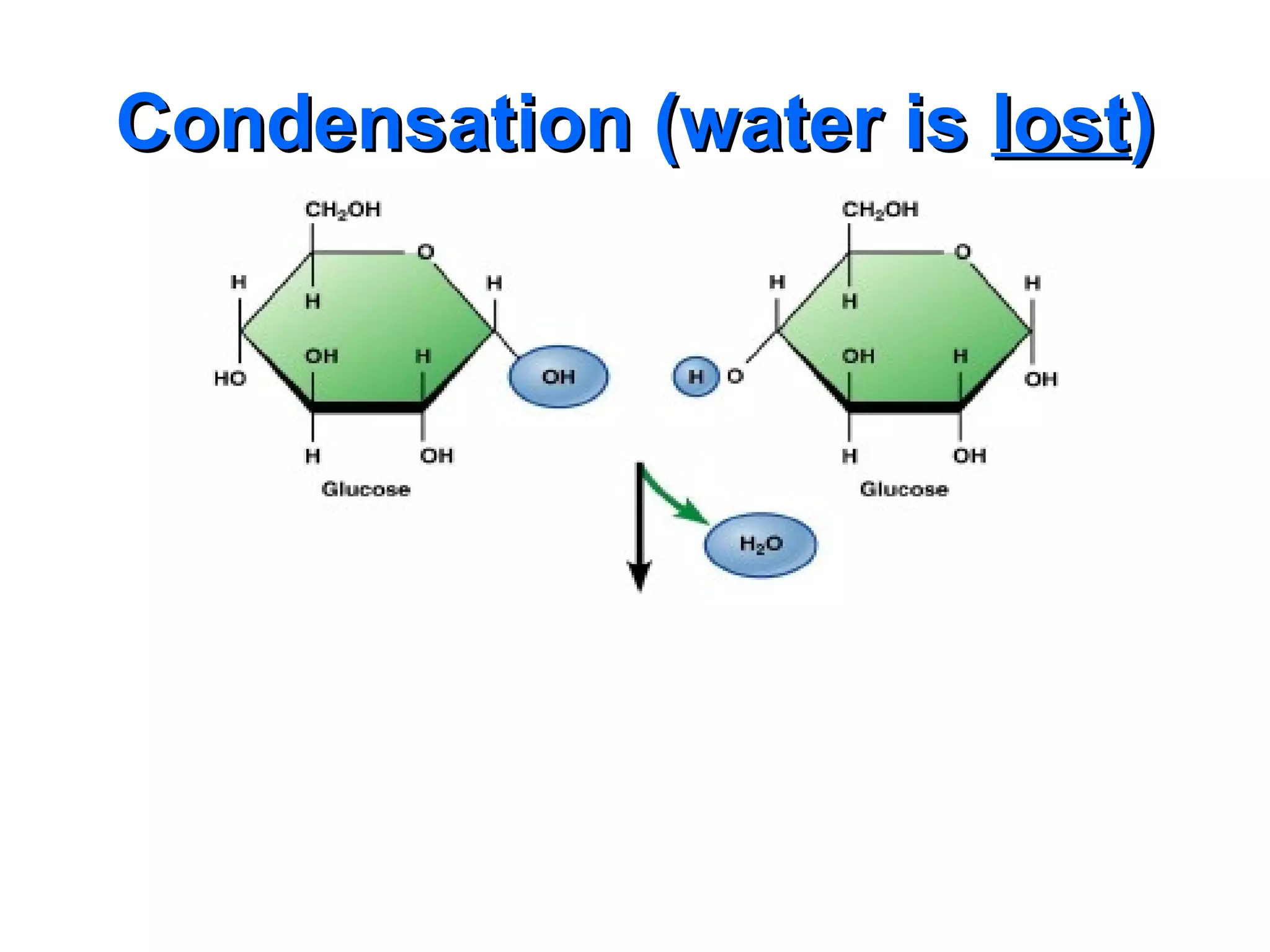 Condensation (water is lost)
 