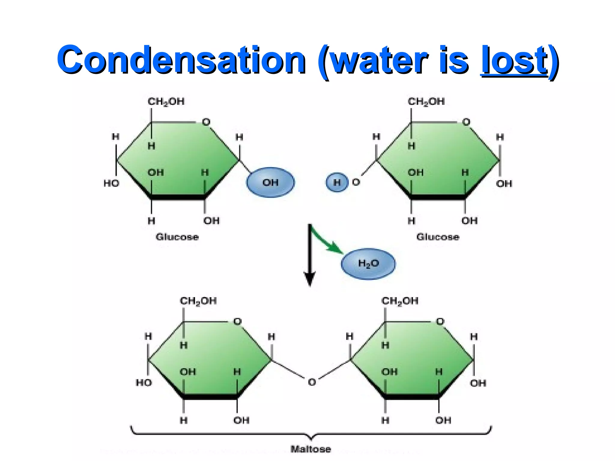 Condensation (water is lost)
 