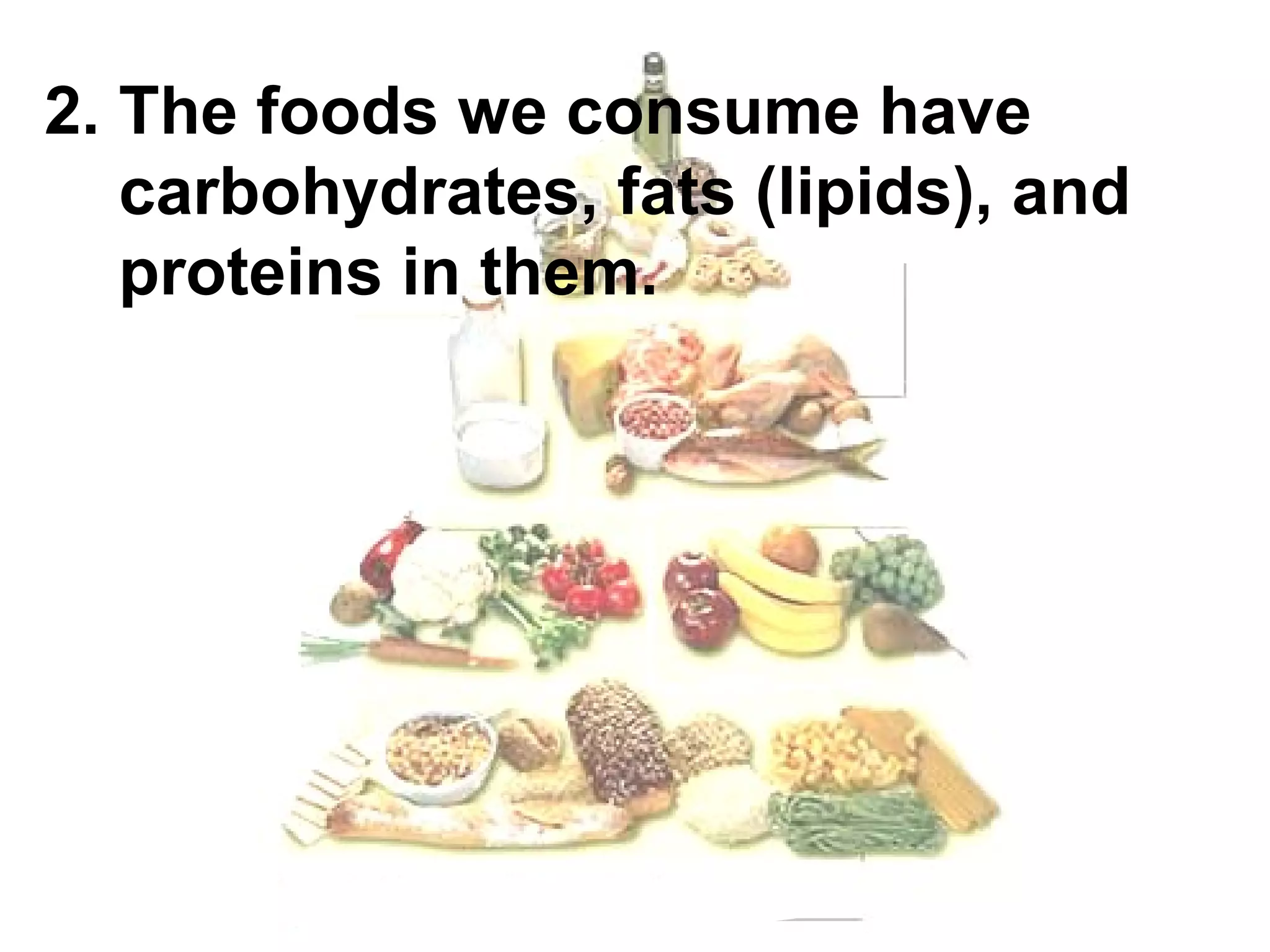 2. The foods we consume have
   carbohydrates, fats (lipids), and
   proteins in them.
 