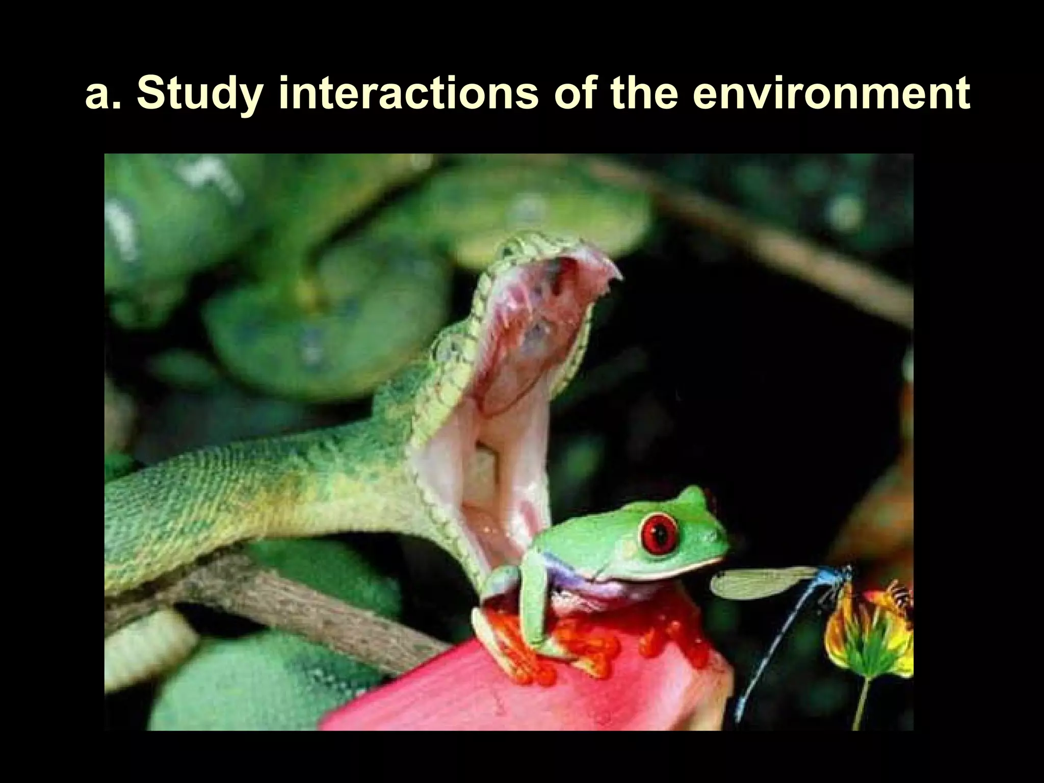 a. Study interactions of the environment
 