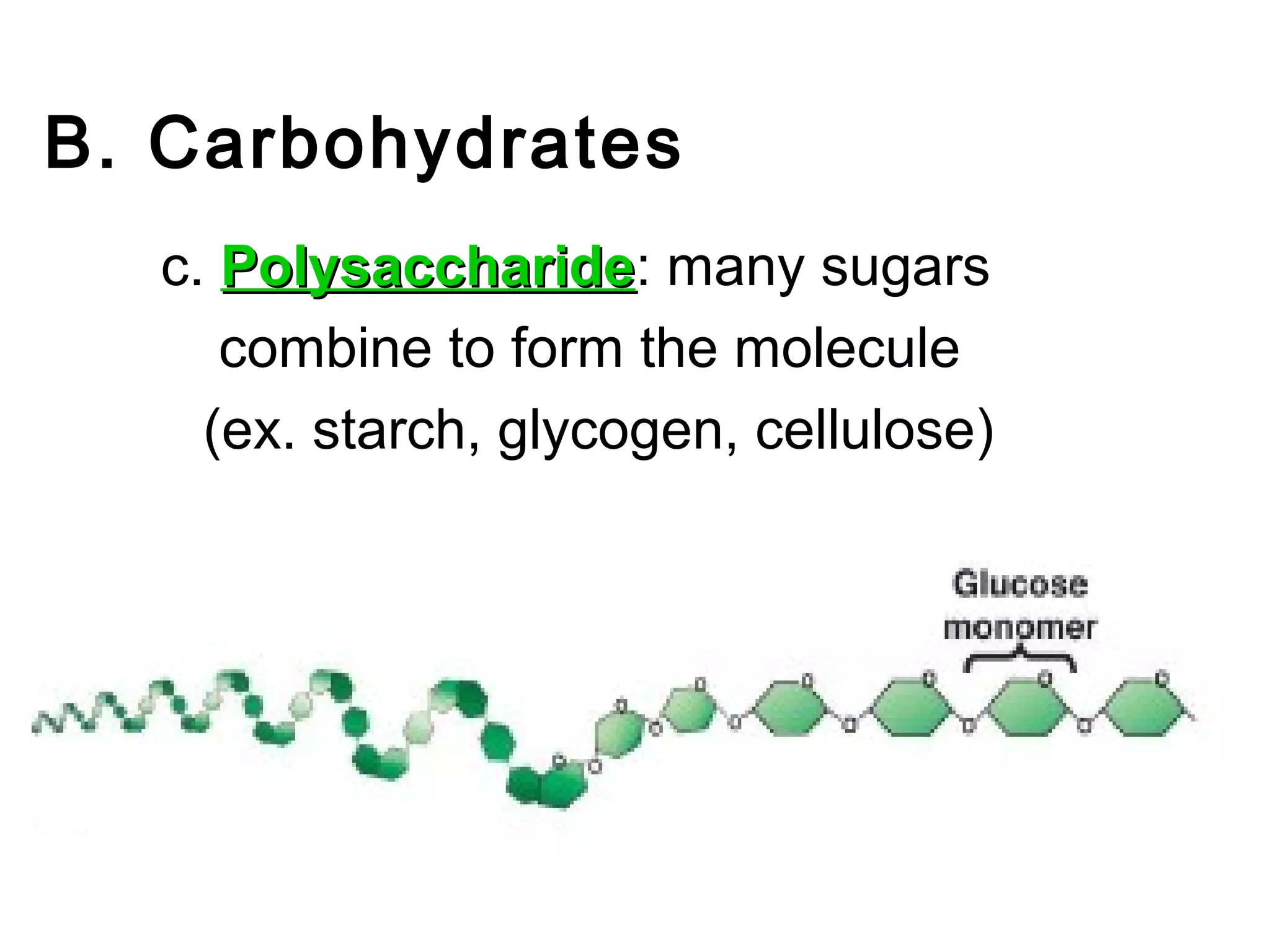 B. Carbohydrates
  c. Polysaccharide: many sugars
     Polysaccharide
     combine to form the molecule
    (ex. starch, glycogen, cellulose)
 