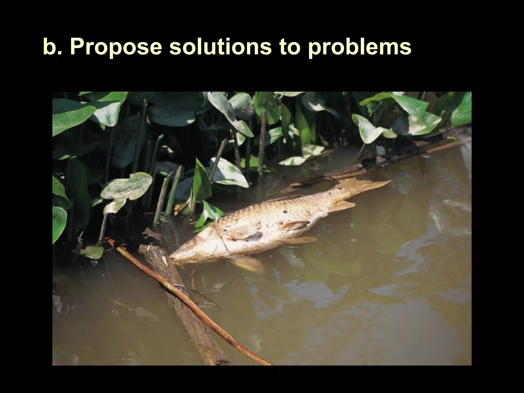 b. Propose solutions to problems
 