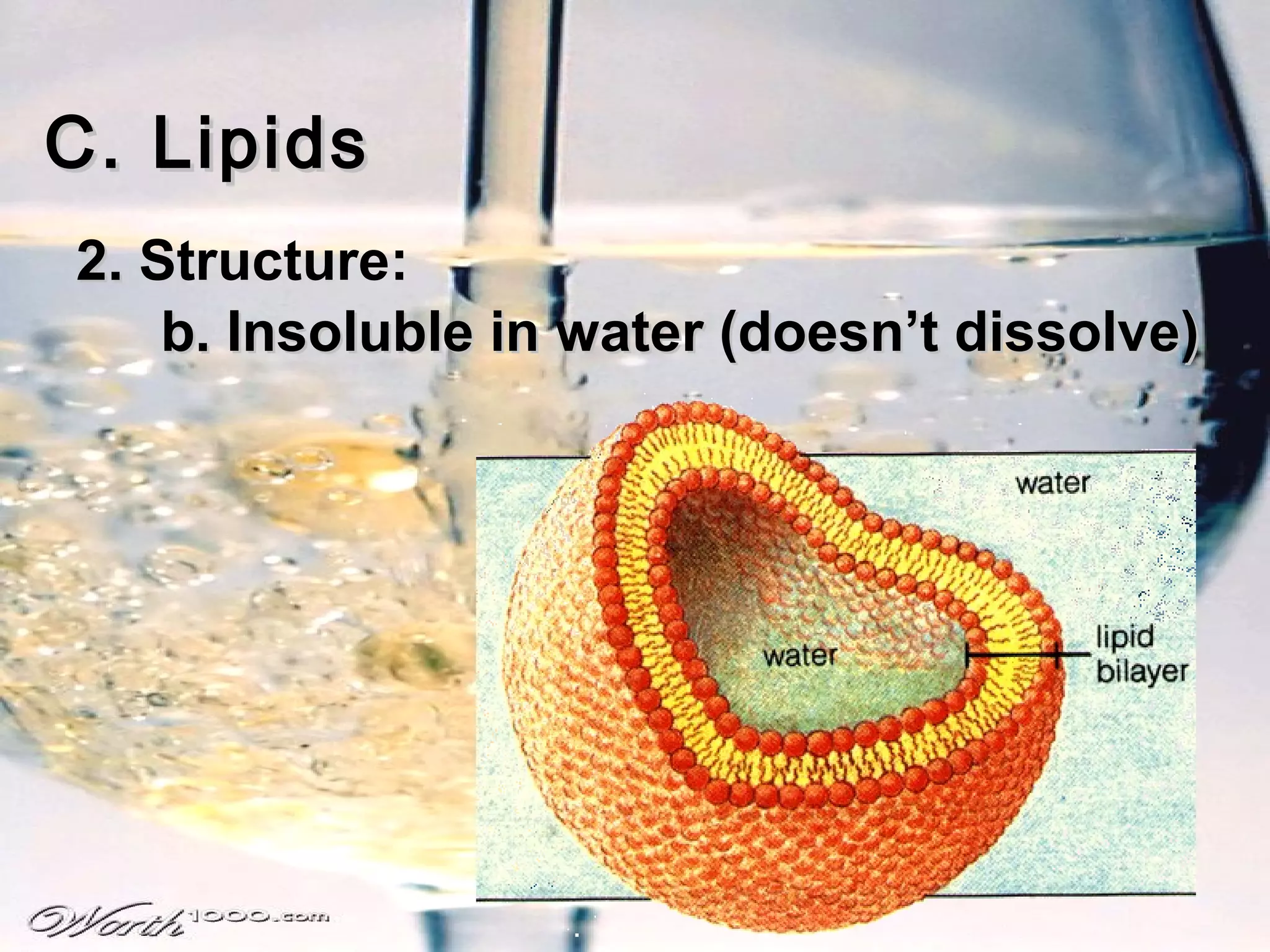 C. Lipids
2. Structure:
    b. Insoluble in water (doesn’t dissolve)
 