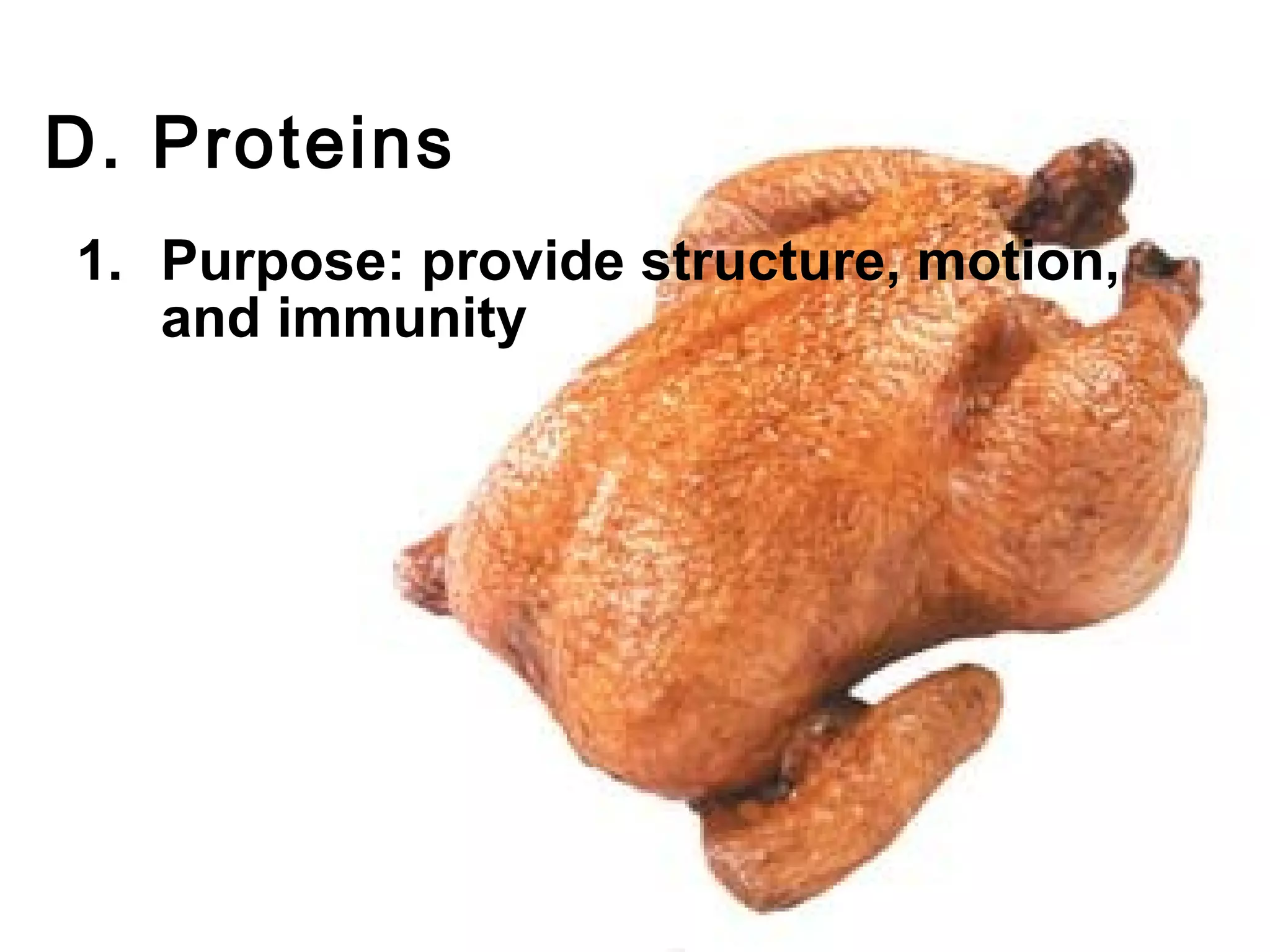 D. Proteins
1. Purpose: provide structure, motion,
   and immunity
 