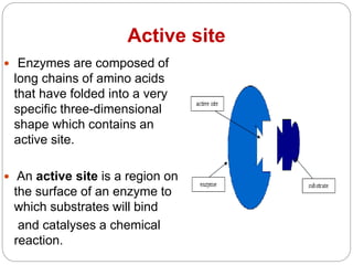 biochemistry ppt 3 by Sohail Riaz.pptx