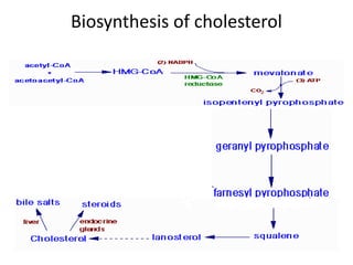 Biosynthesis of cholesterol
 