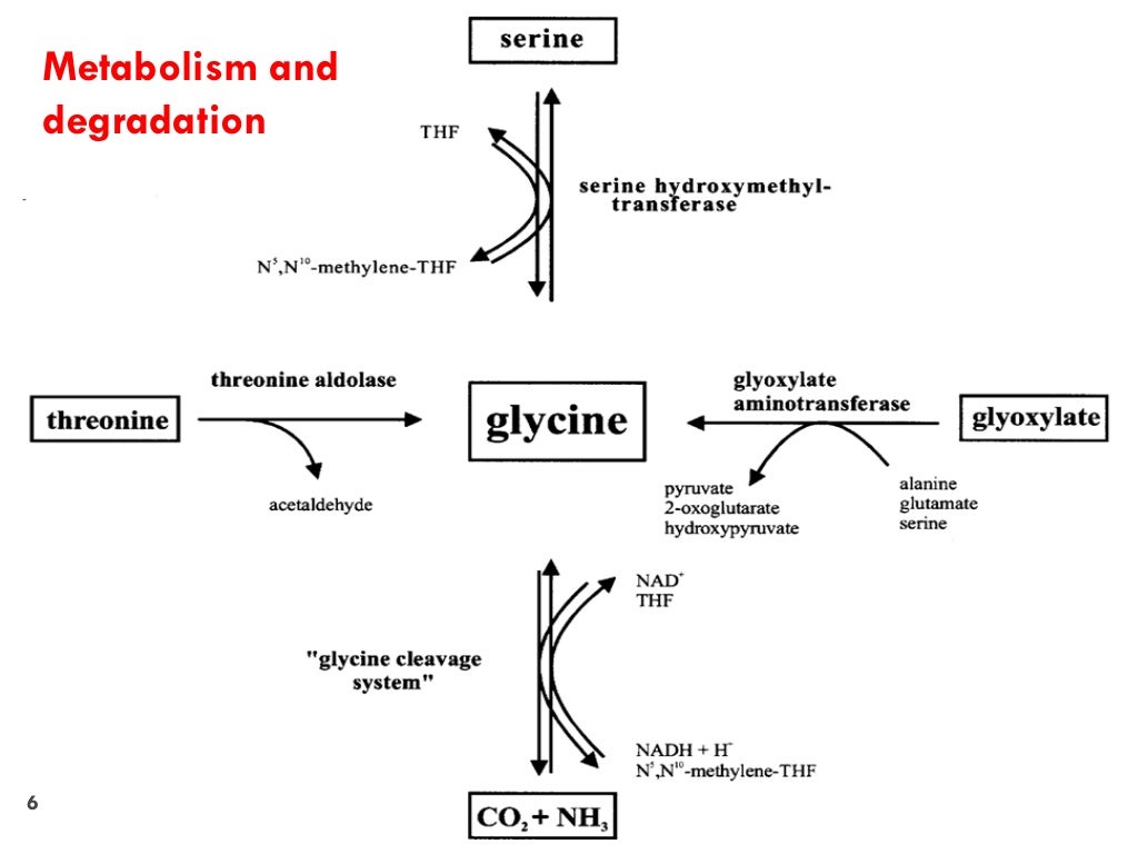 Glycine and Serine Amino acid