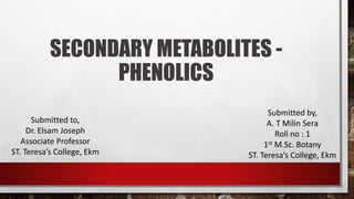 SECONDARY METABOLITES -
PHENOLICS
Submitted by,
A. T Milin Sera
Roll no : 1
1st M.Sc. Botany
ST. Teresa’s College, Ekm
Submitted to,
Dr. Elsam Joseph
Associate Professor
ST. Teresa’s College, Ekm
 