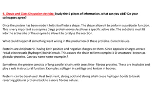 4. Group and Class Discussion Activity. Study the 5 pieces of information, what can you add? Do your
colleagues agree?
Once the protein has been made it folds itself into a shape. The shape allows it to perform a particular function.
This is very important as enzymes (large protein molecules) have a specific active site. The substrate must fit
into the active site of the enzyme to allow it to catalyse the reaction.
What could happen if something went wrong in the production of these proteins. Current issues.
Proteins are Amphoteric- having both positive and negative charges on them. Since opposite charges attract
‘weak electrostatic (hydrogen) bonds’result. This causes the chain to form complex 3-D structures- known as
globular proteins. Can you name some examples?
Sometimes the protein consists of long parallel chains with cross links- fibrous proteins. These are insoluble and
play a role in structural function. Examples: collagen in cartilage and kertain in hooves.
Proteins can be denatured. Heat treatment, strong acid and strong alkali cause hydrogen bonds to break
reverting globular proteins back to a more fibrous nature.
 