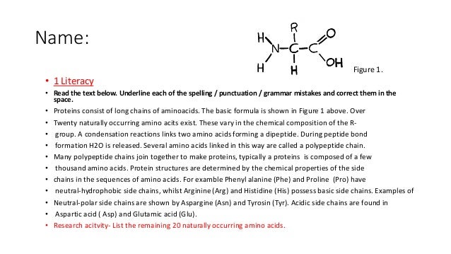 Argumantive Essay Protein Synthesis Essay Test Dna Rna And Protein Synthesis Biochemistry Protein Synthesis Protein Synthesis Atomic Energy Essay also Essay For Orchestra Protein Synthesis Essay Protein Synthesis Essay Nucleic Acids Dna Darden Essays