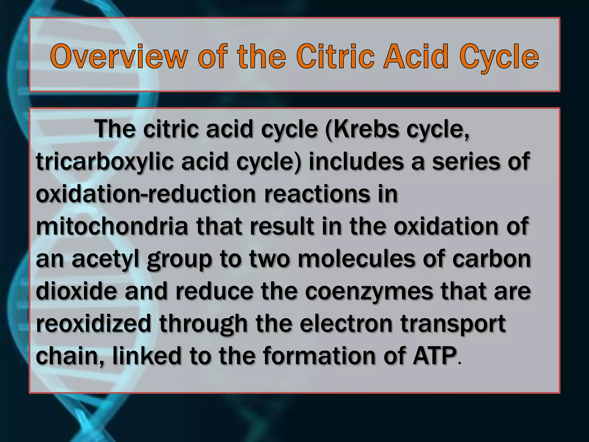 The citric acid cycle (Krebs cycle,
tricarboxylic acid cycle) includes a series of
oxidation-reduction reactions in
mitochondria that result in the oxidation of
an acetyl group to two molecules of carbon
dioxide and reduce the coenzymes that are
reoxidized through the electron transport
chain, linked to the formation of ATP.
 