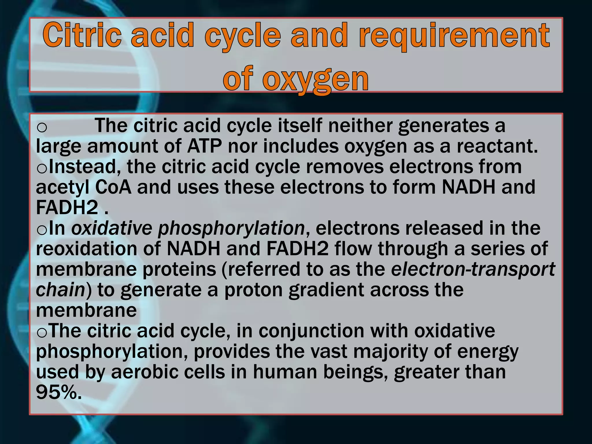 o The citric acid cycle itself neither generates a
large amount of ATP nor includes oxygen as a reactant.
oInstead, the citric acid cycle removes electrons from
acetyl CoA and uses these electrons to form NADH and
FADH2 .
oIn oxidative phosphorylation, electrons released in the
reoxidation of NADH and FADH2 flow through a series of
membrane proteins (referred to as the electron-transport
chain) to generate a proton gradient across the
membrane
oThe citric acid cycle, in conjunction with oxidative
phosphorylation, provides the vast majority of energy
used by aerobic cells in human beings, greater than
95%.
 