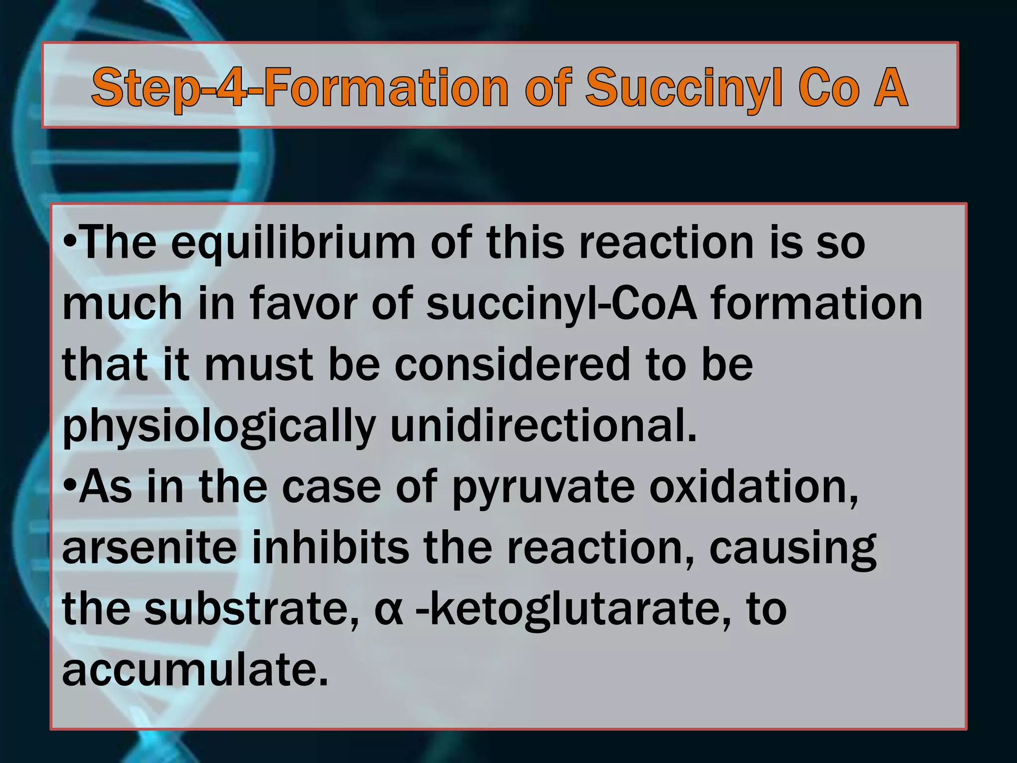•The equilibrium of this reaction is so
much in favor of succinyl-CoA formation
that it must be considered to be
physiologically unidirectional.
•As in the case of pyruvate oxidation,
arsenite inhibits the reaction, causing
the substrate, α -ketoglutarate, to
accumulate.
 