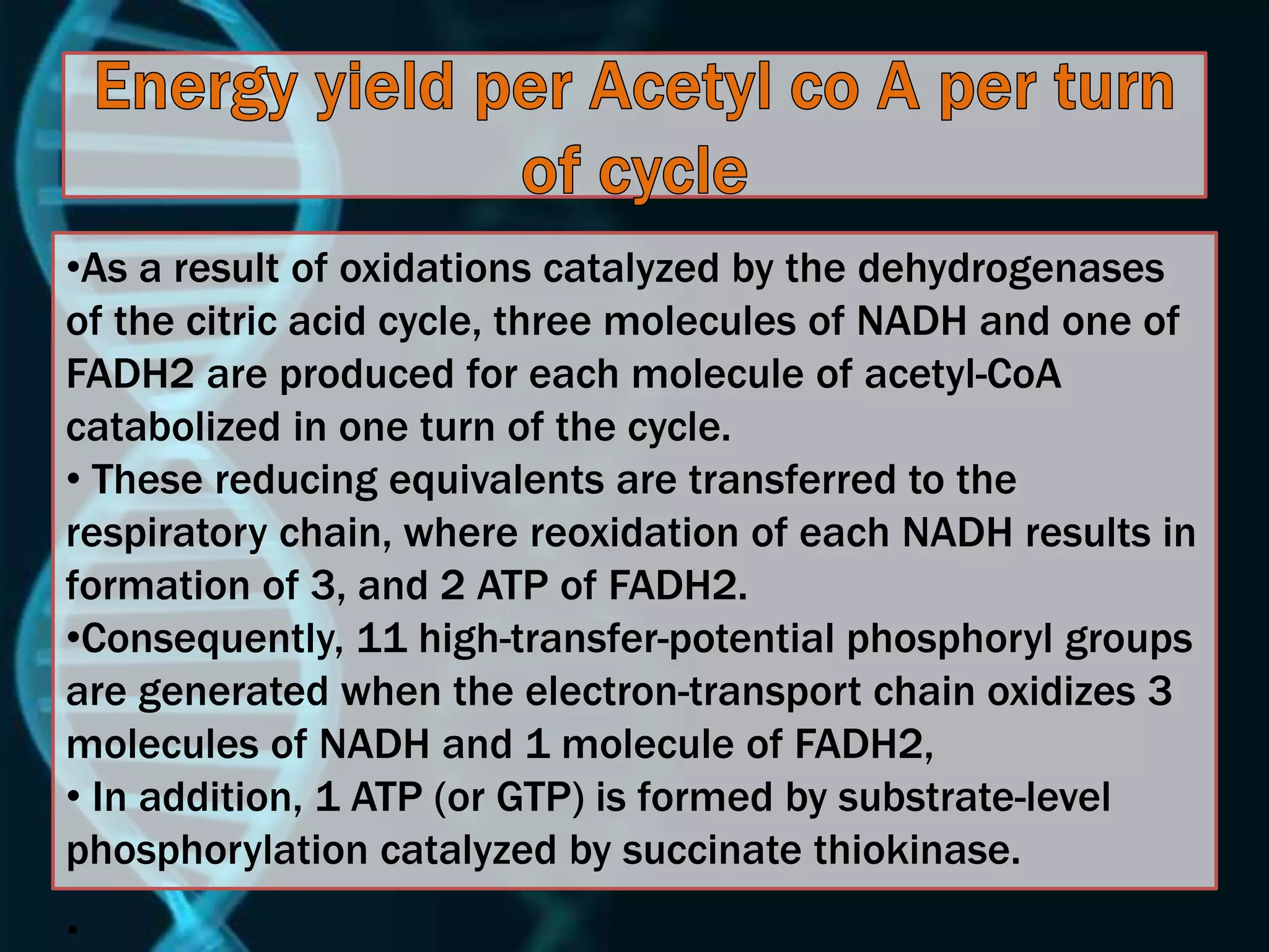 •As a result of oxidations catalyzed by the dehydrogenases
of the citric acid cycle, three molecules of NADH and one of
FADH2 are produced for each molecule of acetyl-CoA
catabolized in one turn of the cycle.
• These reducing equivalents are transferred to the
respiratory chain, where reoxidation of each NADH results in
formation of 3, and 2 ATP of FADH2.
•Consequently, 11 high-transfer-potential phosphoryl groups
are generated when the electron-transport chain oxidizes 3
molecules of NADH and 1 molecule of FADH2,
• In addition, 1 ATP (or GTP) is formed by substrate-level
phosphorylation catalyzed by succinate thiokinase.
.
 