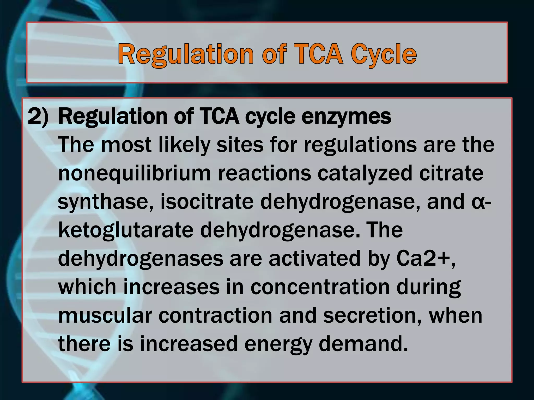 2) Regulation of TCA cycle enzymes
The most likely sites for regulations are the
nonequilibrium reactions catalyzed citrate
synthase, isocitrate dehydrogenase, and α-
ketoglutarate dehydrogenase. The
dehydrogenases are activated by Ca2+,
which increases in concentration during
muscular contraction and secretion, when
there is increased energy demand.
 