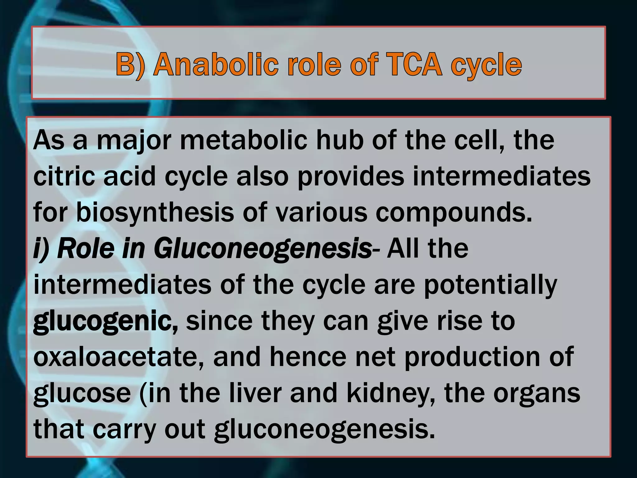As a major metabolic hub of the cell, the
citric acid cycle also provides intermediates
for biosynthesis of various compounds.
i) Role in Gluconeogenesis- All the
intermediates of the cycle are potentially
glucogenic, since they can give rise to
oxaloacetate, and hence net production of
glucose (in the liver and kidney, the organs
that carry out gluconeogenesis.
 