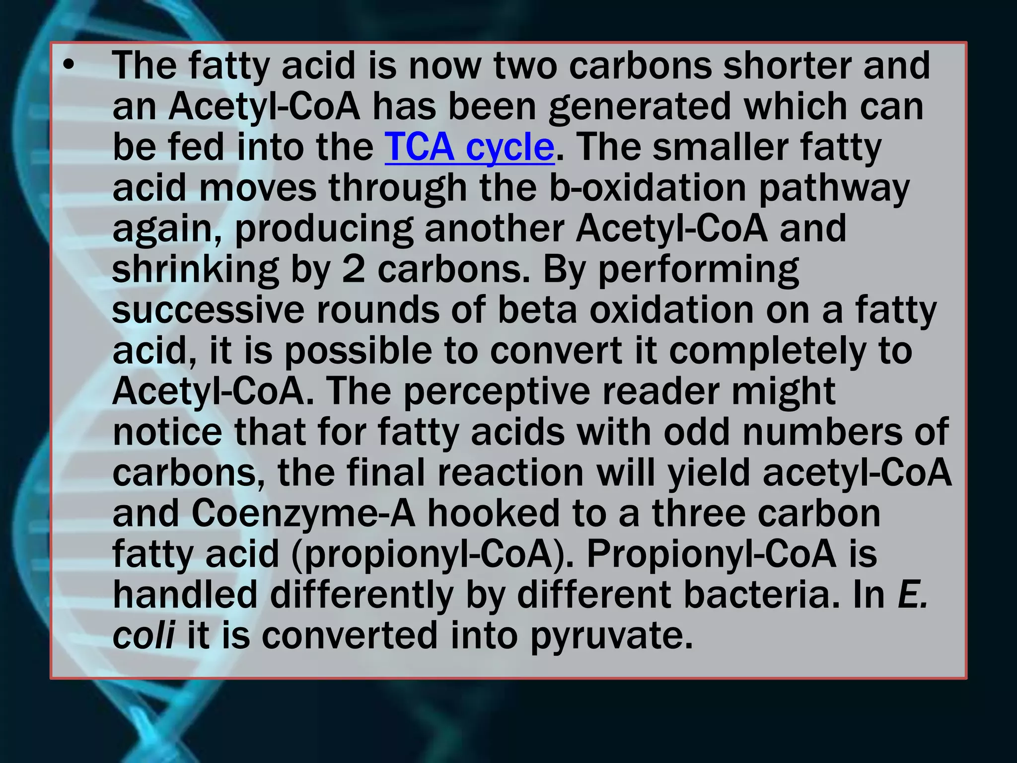 • The fatty acid is now two carbons shorter and
an Acetyl-CoA has been generated which can
be fed into the TCA cycle. The smaller fatty
acid moves through the b-oxidation pathway
again, producing another Acetyl-CoA and
shrinking by 2 carbons. By performing
successive rounds of beta oxidation on a fatty
acid, it is possible to convert it completely to
Acetyl-CoA. The perceptive reader might
notice that for fatty acids with odd numbers of
carbons, the final reaction will yield acetyl-CoA
and Coenzyme-A hooked to a three carbon
fatty acid (propionyl-CoA). Propionyl-CoA is
handled differently by different bacteria. In E.
coli it is converted into pyruvate.
 