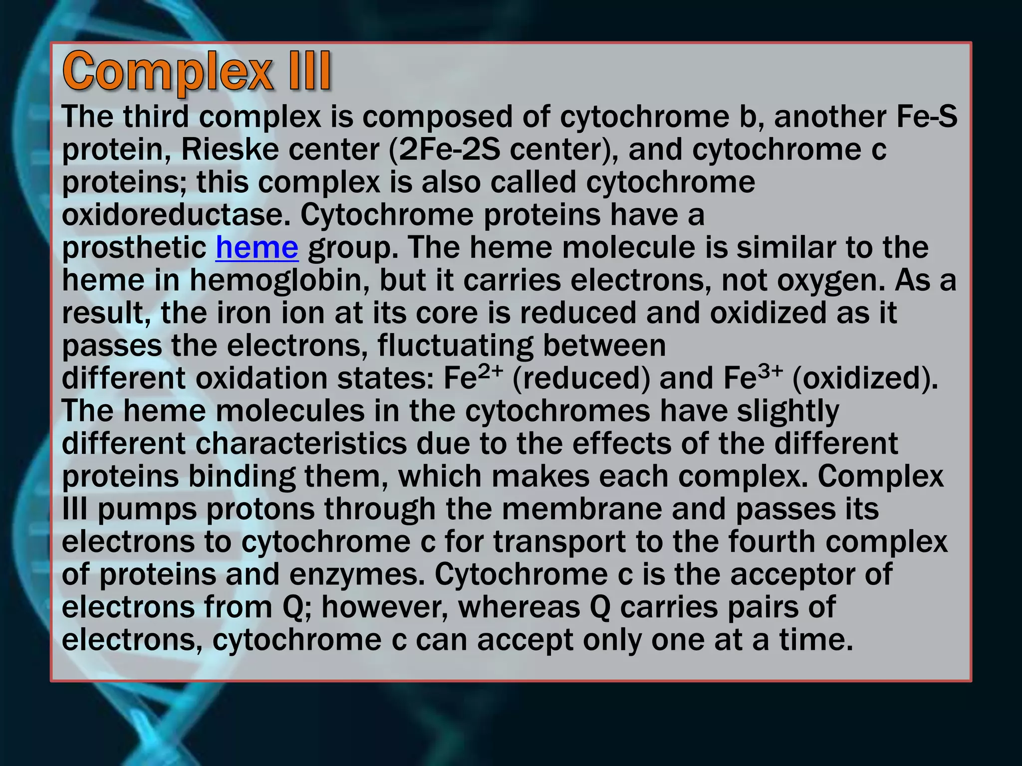 The third complex is composed of cytochrome b, another Fe-S
protein, Rieske center (2Fe-2S center), and cytochrome c
proteins; this complex is also called cytochrome
oxidoreductase. Cytochrome proteins have a
prosthetic heme group. The heme molecule is similar to the
heme in hemoglobin, but it carries electrons, not oxygen. As a
result, the iron ion at its core is reduced and oxidized as it
passes the electrons, fluctuating between
different oxidation states: Fe2+ (reduced) and Fe3+ (oxidized).
The heme molecules in the cytochromes have slightly
different characteristics due to the effects of the different
proteins binding them, which makes each complex. Complex
III pumps protons through the membrane and passes its
electrons to cytochrome c for transport to the fourth complex
of proteins and enzymes. Cytochrome c is the acceptor of
electrons from Q; however, whereas Q carries pairs of
electrons, cytochrome c can accept only one at a time.
 