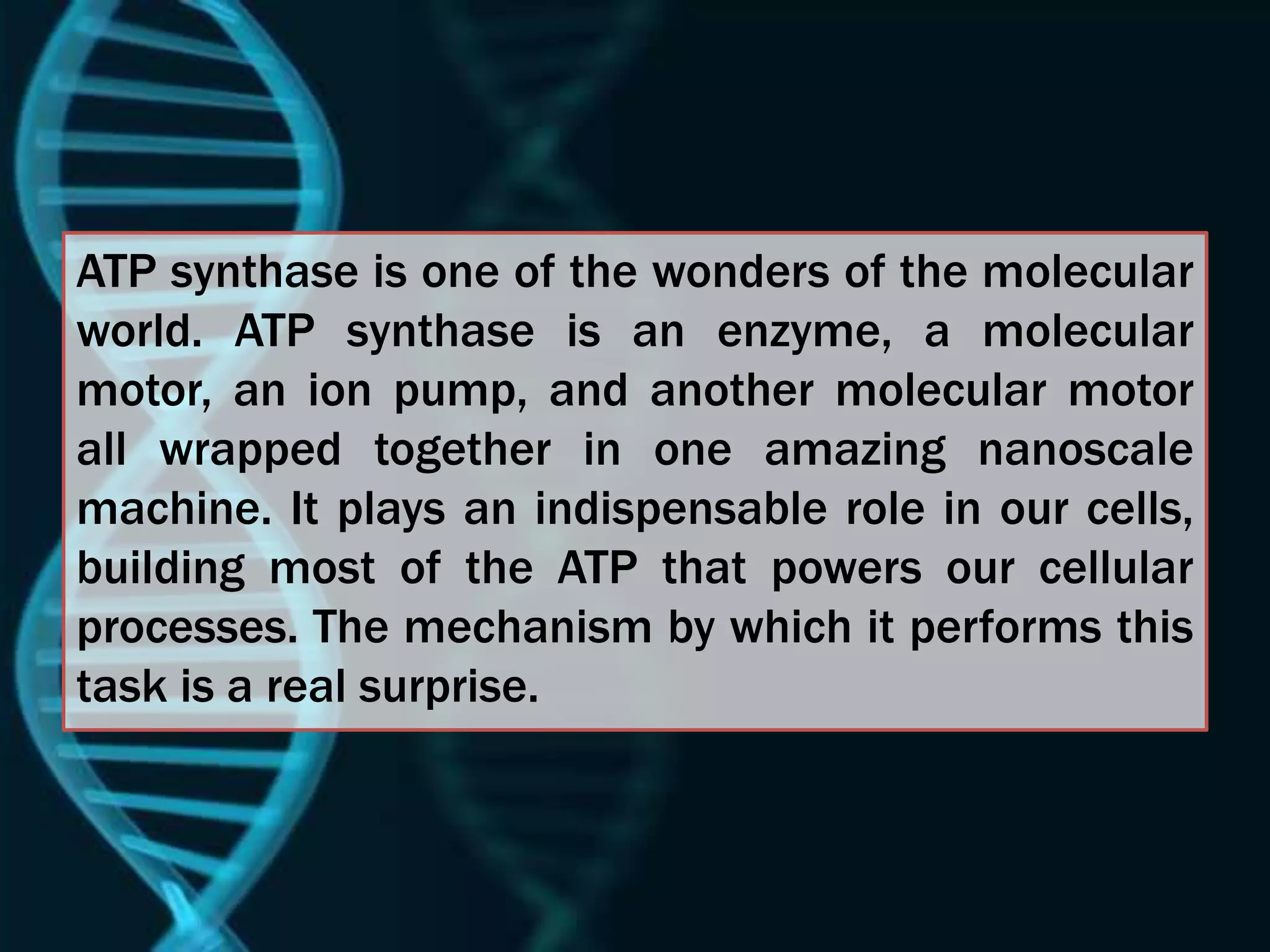 ATP synthase is one of the wonders of the molecular
world. ATP synthase is an enzyme, a molecular
motor, an ion pump, and another molecular motor
all wrapped together in one amazing nanoscale
machine. It plays an indispensable role in our cells,
building most of the ATP that powers our cellular
processes. The mechanism by which it performs this
task is a real surprise.
 