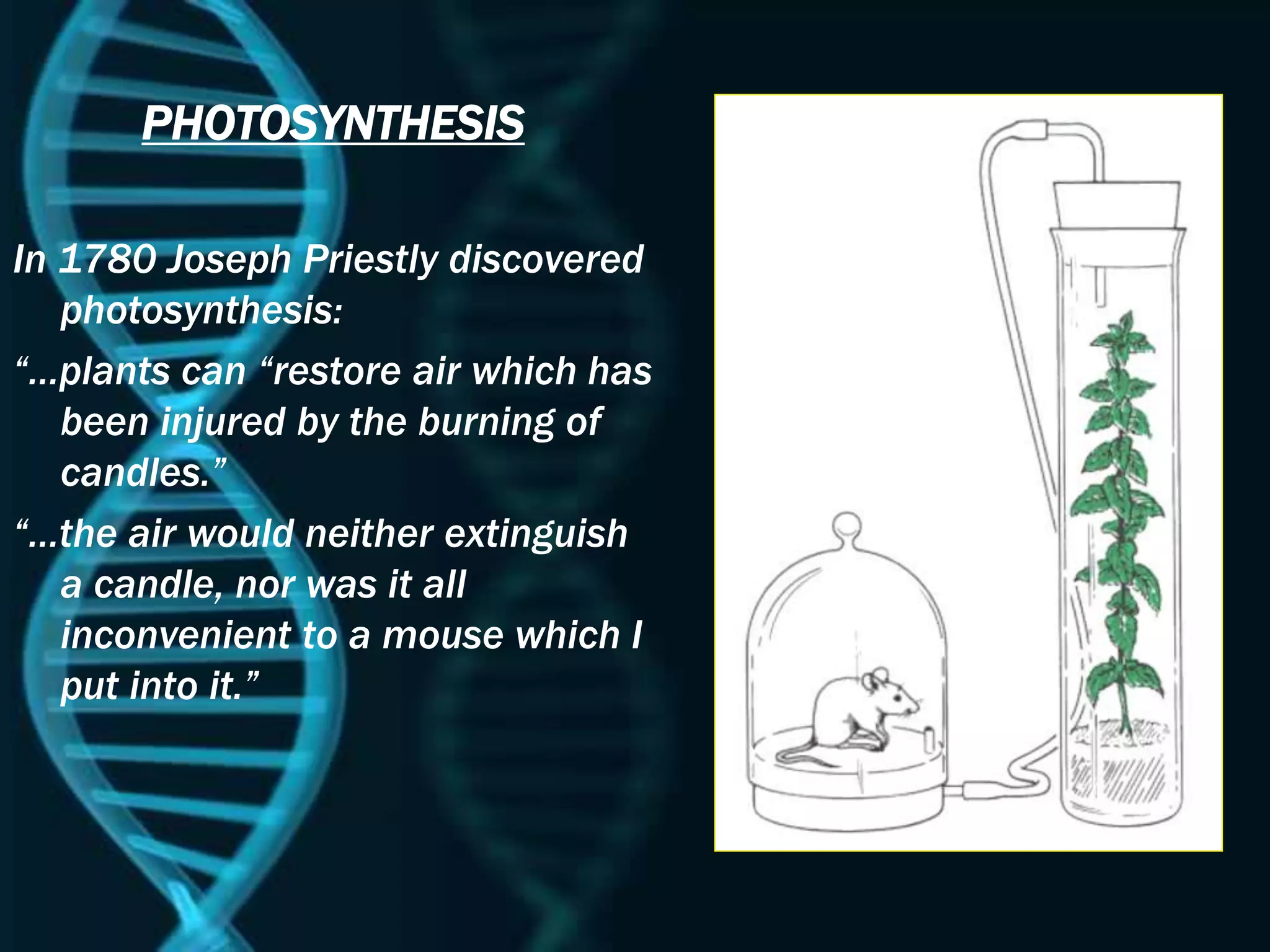 PHOTOSYNTHESIS
In 1780 Joseph Priestly discovered
photosynthesis:
“…plants can “restore air which has
been injured by the burning of
candles.”
“…the air would neither extinguish
a candle, nor was it all
inconvenient to a mouse which I
put into it.”
 