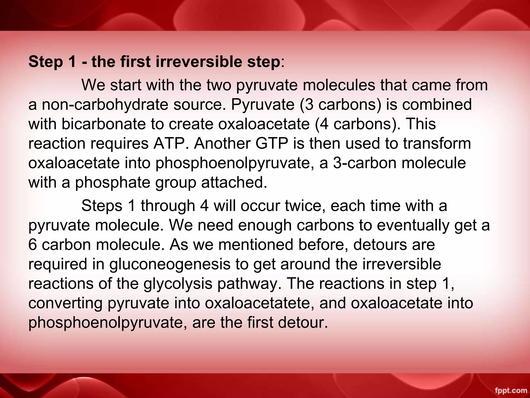 Step 1 - the first irreversible step:
We start with the two pyruvate molecules that came from
a non-carbohydrate source. Pyruvate (3 carbons) is combined
with bicarbonate to create oxaloacetate (4 carbons). This
reaction requires ATP. Another GTP is then used to transform
oxaloacetate into phosphoenolpyruvate, a 3-carbon molecule
with a phosphate group attached.
Steps 1 through 4 will occur twice, each time with a
pyruvate molecule. We need enough carbons to eventually get a
6 carbon molecule. As we mentioned before, detours are
required in gluconeogenesis to get around the irreversible
reactions of the glycolysis pathway. The reactions in step 1,
converting pyruvate into oxaloacetatete, and oxaloacetate into
phosphoenolpyruvate, are the first detour.
 