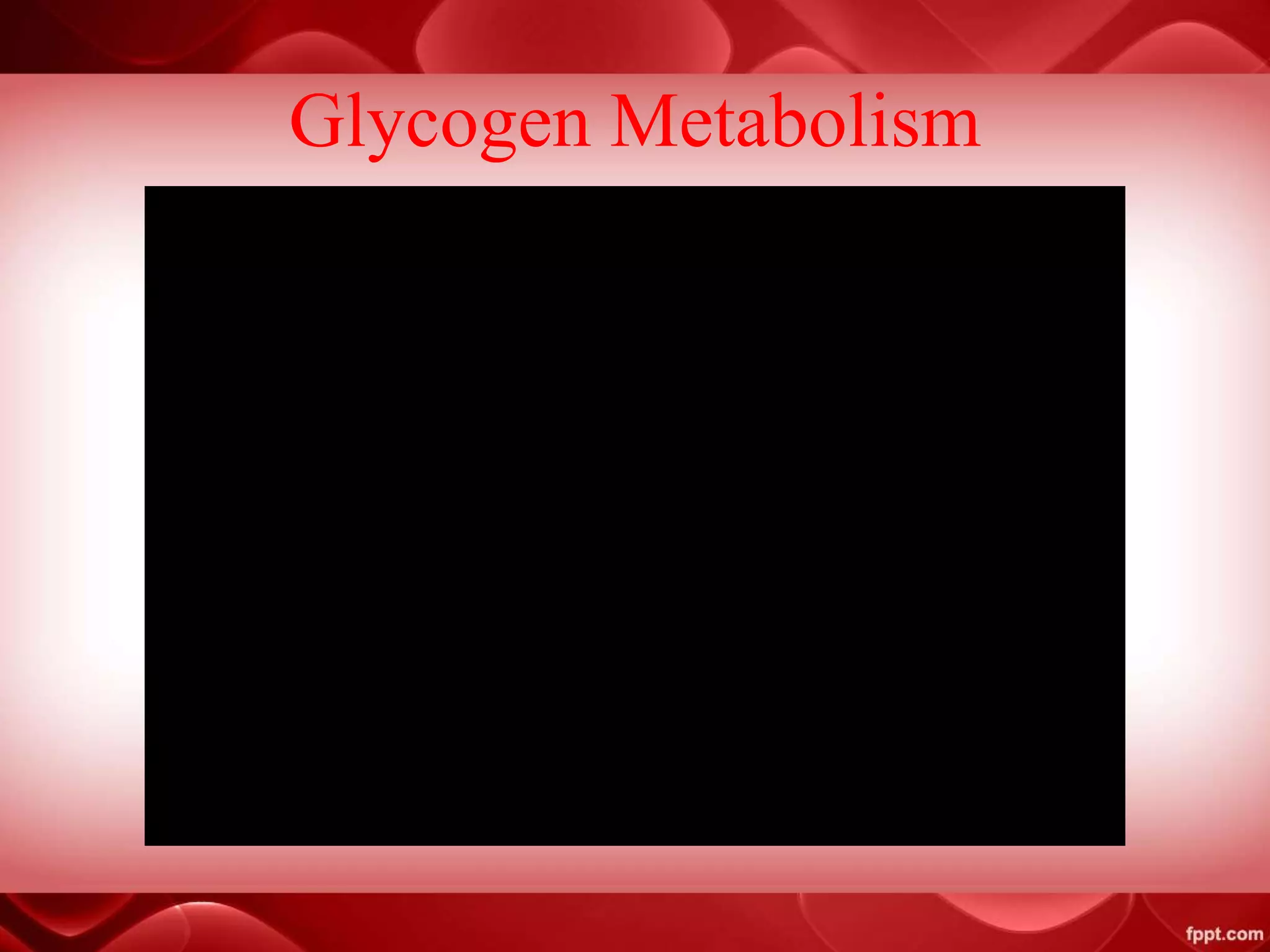 Glycogen Metabolism
 
